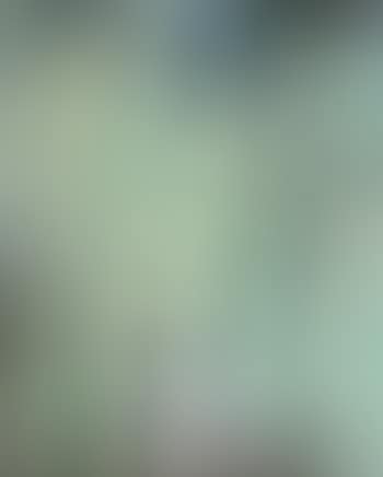Trois nus (preview)