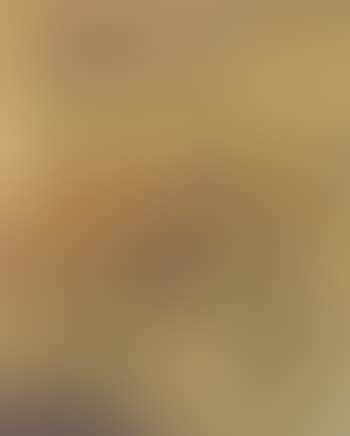 Patronila (preview)