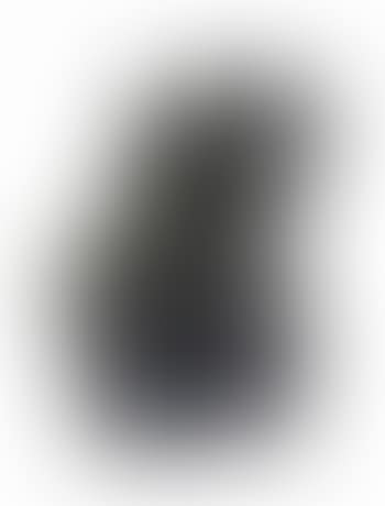 Early Forms (preview)
