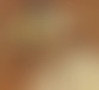 Study for 'Portrait of Nehru' (preview)