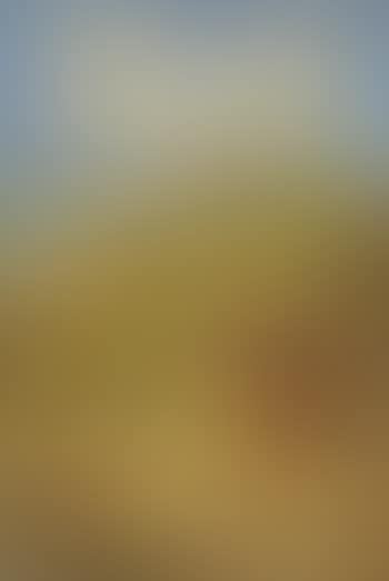 Cape Cod Dunes (preview)