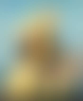 Portrait (preview)