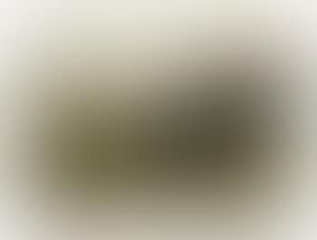 Paysage (preview)