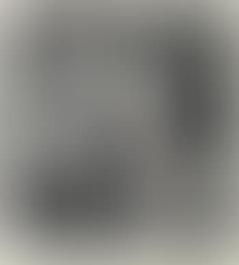 Der Hubertushirsch (preview)