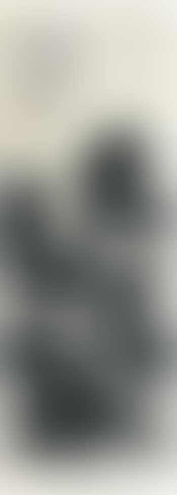 Landscape (preview)
