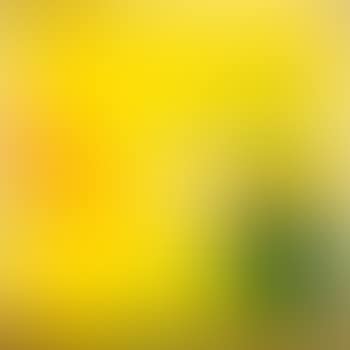 Composition sur fond jaune (preview)
