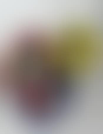 Bolle (preview)