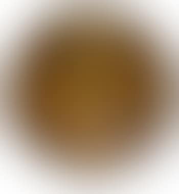 Plate (preview)