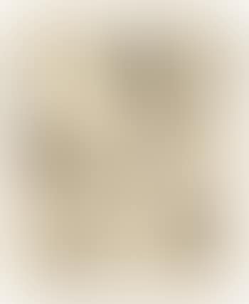 Female Figure (preview)