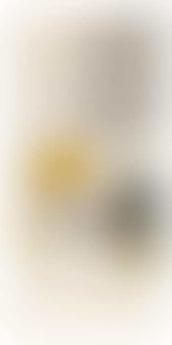 Loquats (preview)