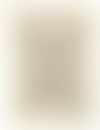 Study of a Frontispiece (preview)