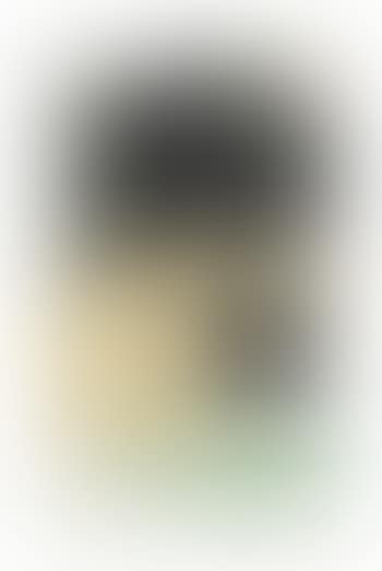 Untitled (preview)