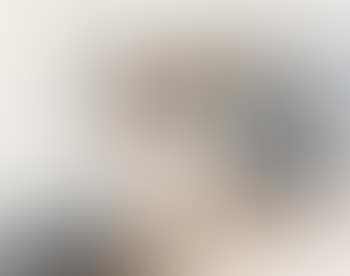 Landscape (preview)