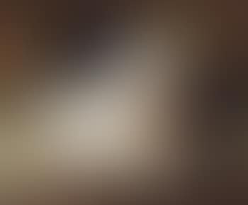 Gans, haan en rode kool (preview)