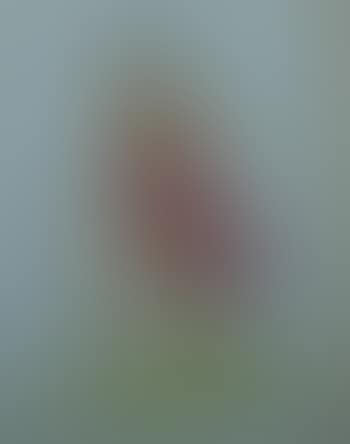 Isadora Duncan in a Red Dress (preview)