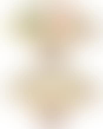 Painting. Calligraphy (preview)
