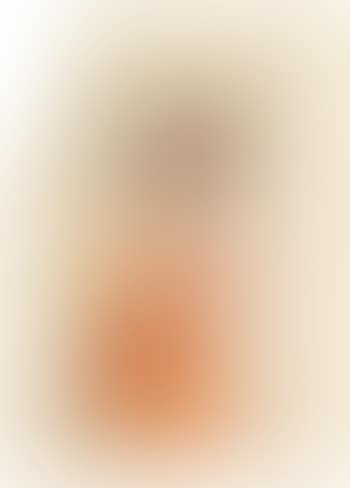 The Guessing Game (preview)