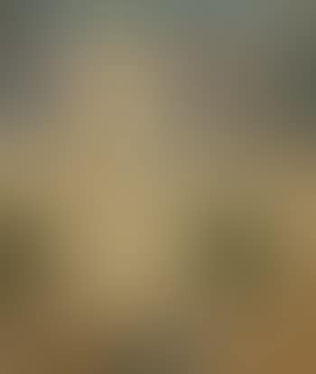 Le Morte d'Arthur (preview)