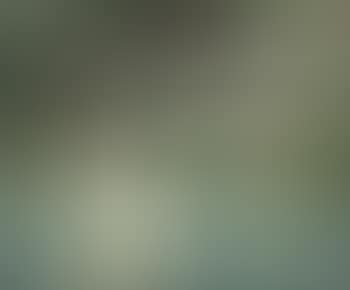Belt of Shimmering Light on Water (preview)