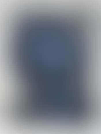 Blue Head (preview)