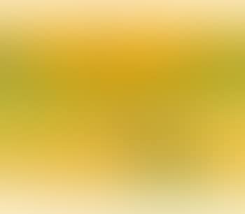 Untitled (Bird, Tree And Mountain) (preview)