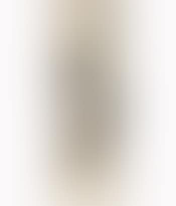 A Portrait Of Yan Lugong (preview)