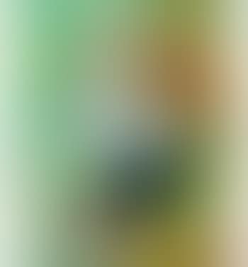 Flowers in Vase (preview)