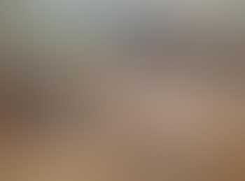 Torfstecher mit Ochsengespann (preview)
