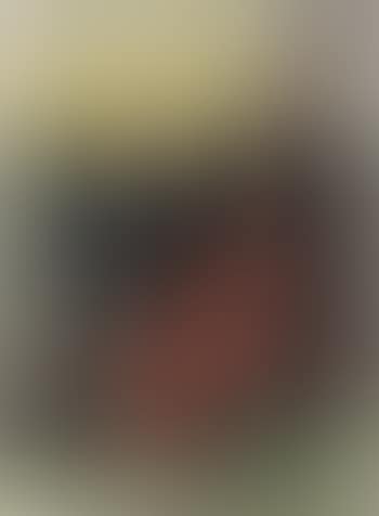 Untitled (preview)