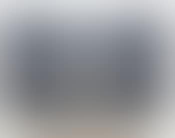 News Archive Video -- Still of Dead Birds Flying (preview)