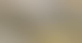 Untitled (Women in Paddy Fields) (preview)