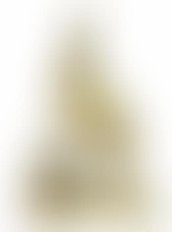 Untitled (Faison) (preview)