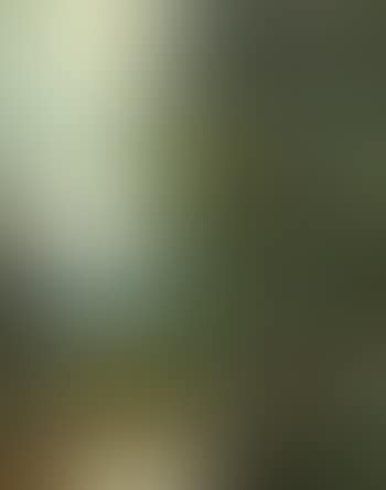 Paysage (preview)