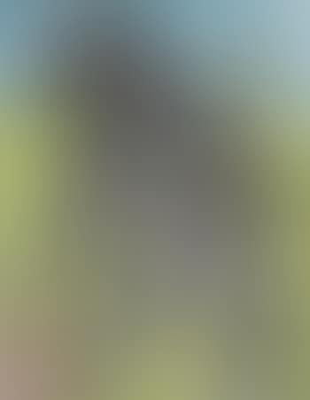 Personnage dans un paysage (preview)
