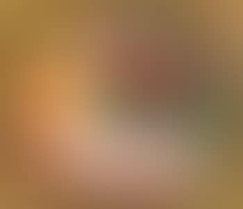 The Venus of Amsterdam by Corneille (preview)