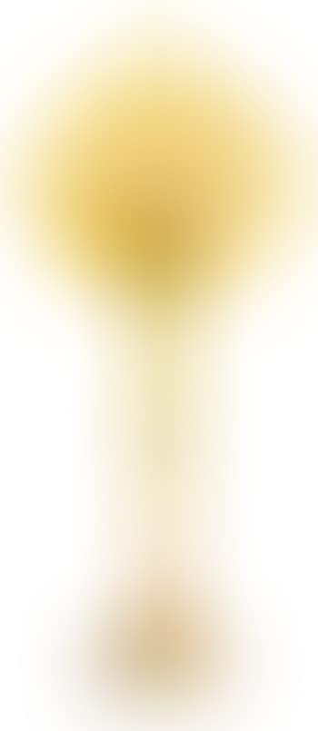 Jack in the Pulpit vase (preview)