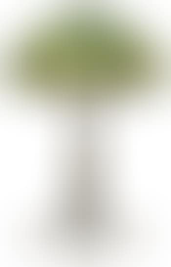 Acorn lamp (preview)