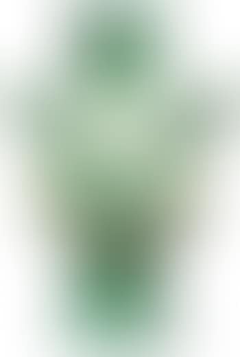 Vase Gros Oiseau Vert (A. R. 453) (preview)