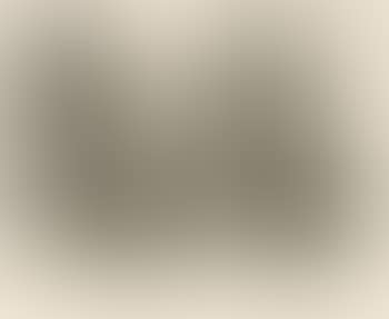 347 Series: Plate 202 (b. 1682) (preview)