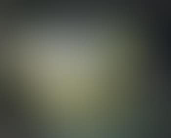 Still Life (preview)