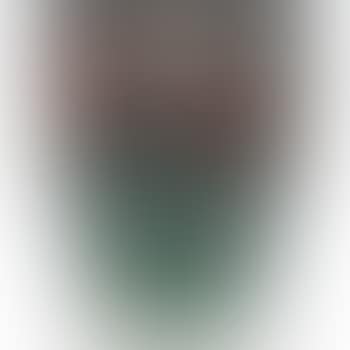Clewell vase (preview)