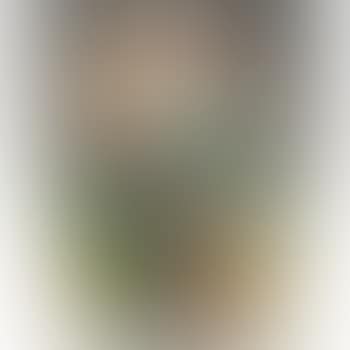 Sicard vase (preview)