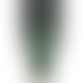 Vase (preview)