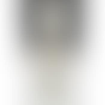 Vase (preview)