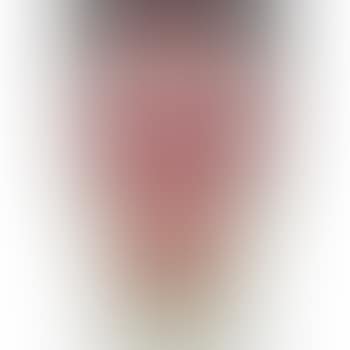 Vase (preview)
