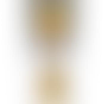 Vase (preview)