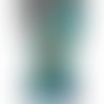 Vase (preview)