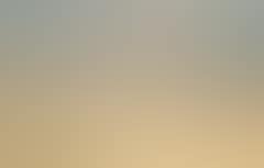 Girl with her dog on Skagen beach (preview)