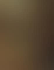 The Adoration of the Magi (preview)