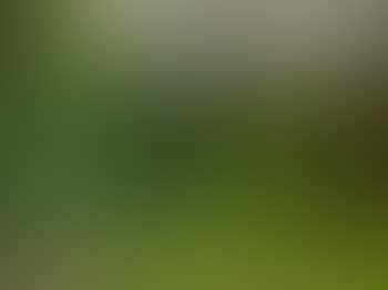 Landscape, County Down (preview)